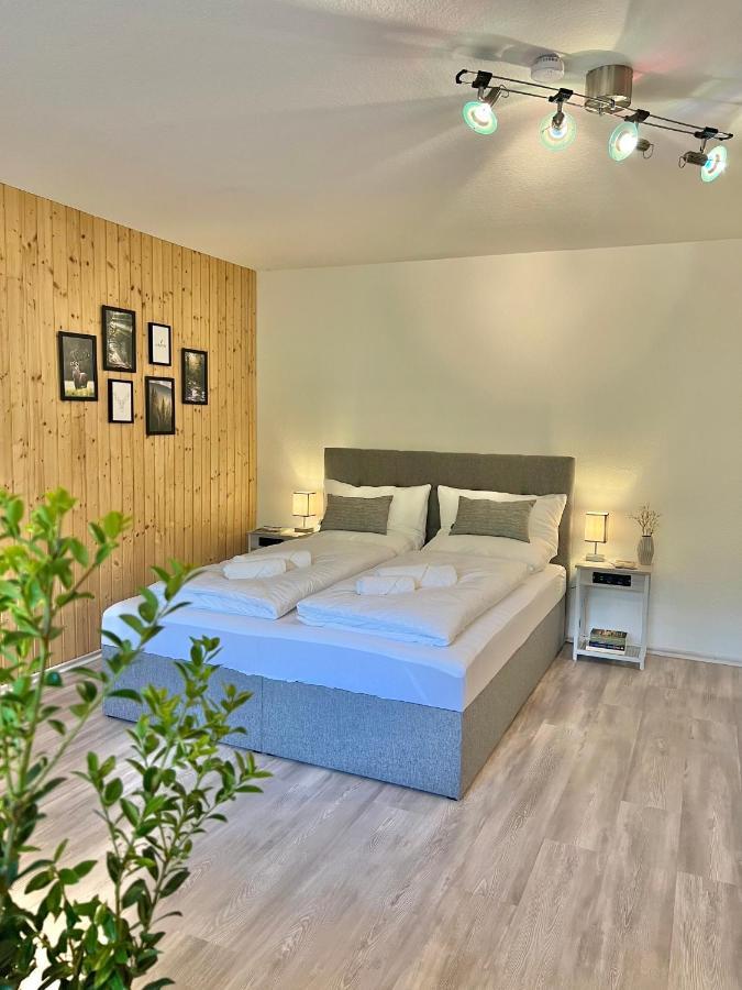 Апартаменти An Wanderwegen Gelegen Mit Terrasse Und Boxspringbett Засбахвальден Екстер'єр фото