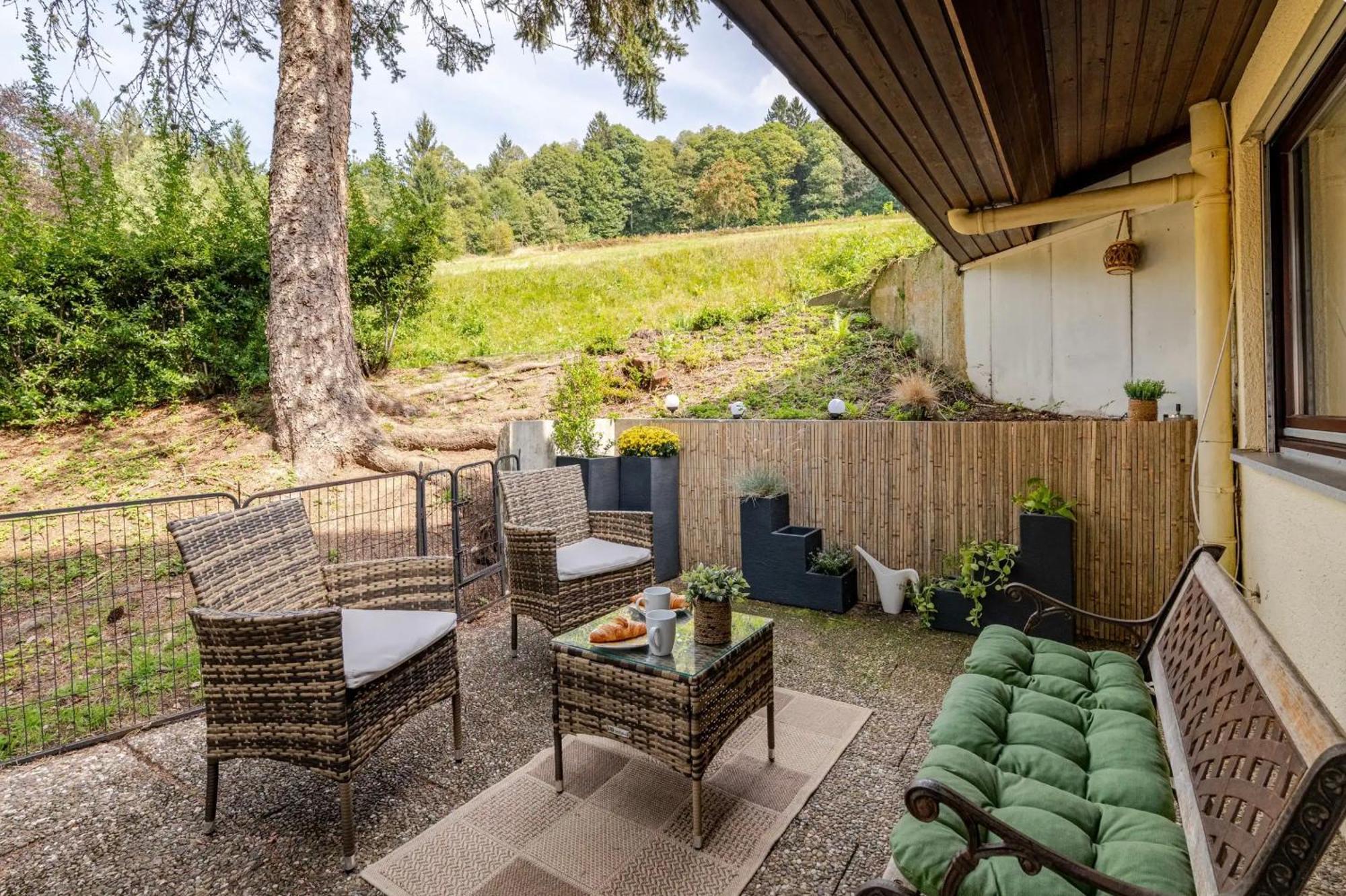 Апартаменти An Wanderwegen Gelegen Mit Terrasse Und Boxspringbett Засбахвальден Екстер'єр фото