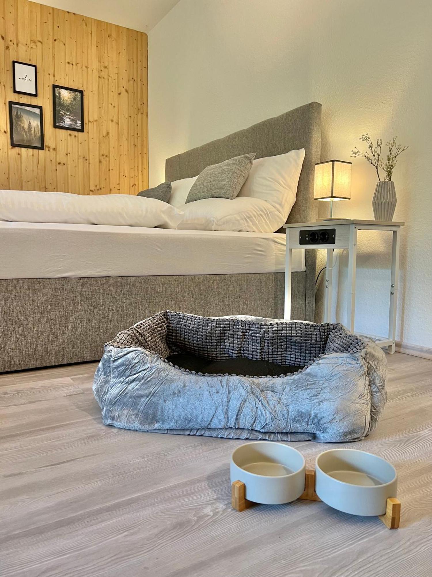 Апартаменти An Wanderwegen Gelegen Mit Terrasse Und Boxspringbett Засбахвальден Екстер'єр фото